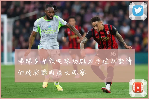 棒球多尔领略球场魅力与运动激情的精彩瞬间成长观察