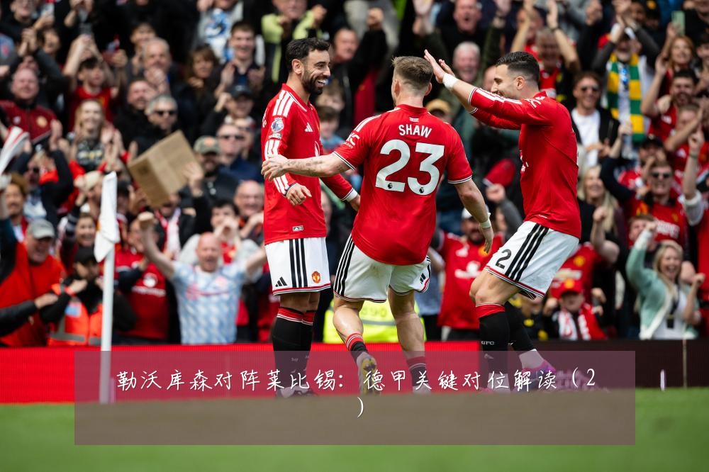 勒沃库森对阵莱比锡：德甲关键对位解读（2）